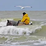Caravan Aan Zee Arnani