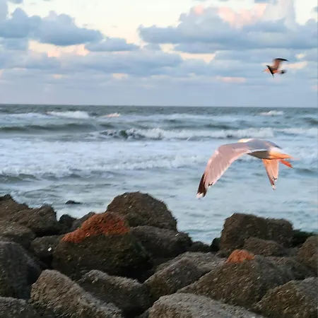Caravan Aan Zee Arnani * ミデルケルケ