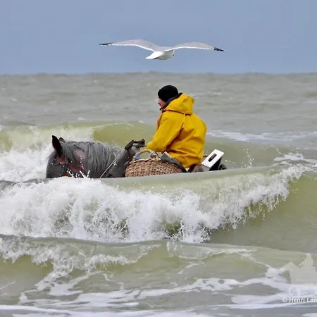 Caravan Aan Zee Arnani